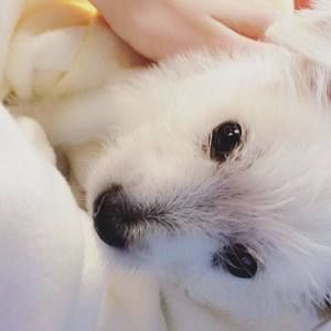 Meet your Posher, Will